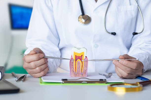 Best Cosmetic Emergency Dentistry in Chamberlain, SD